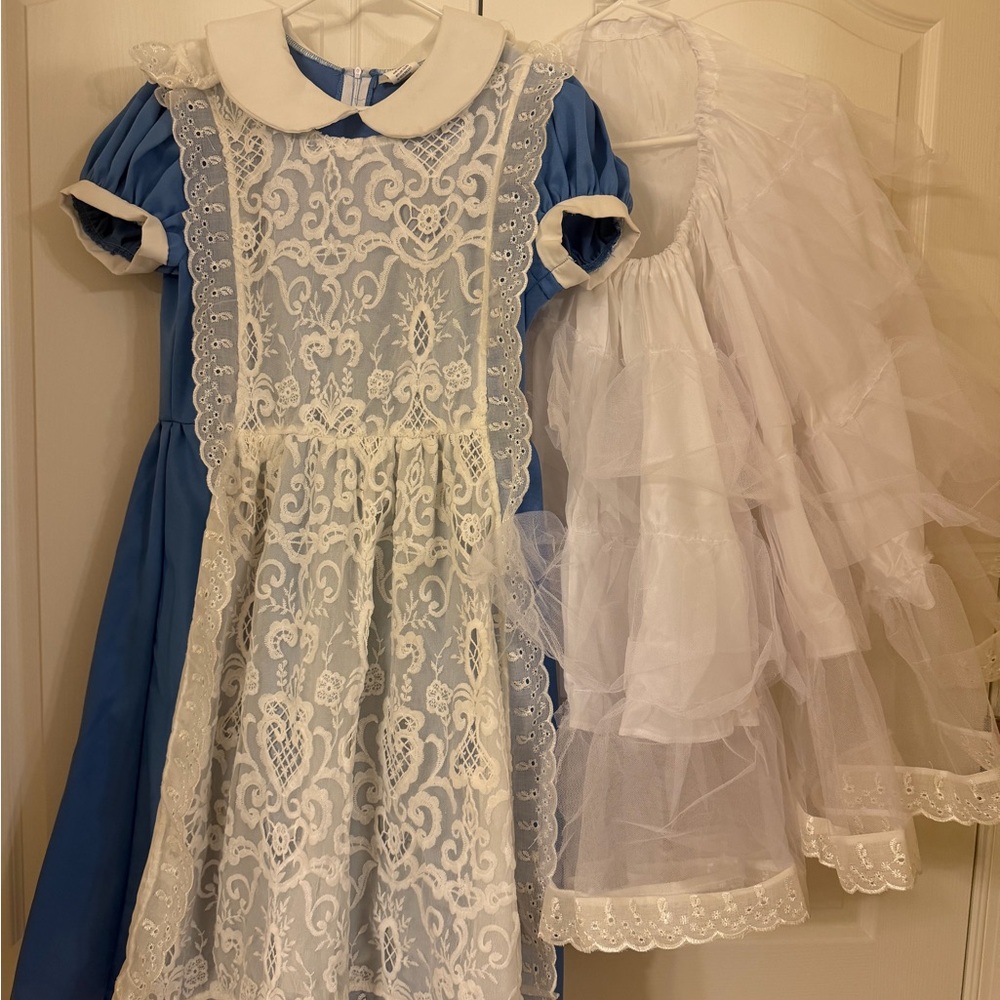 Alice & Wonderland Blue and White Costume Dress
